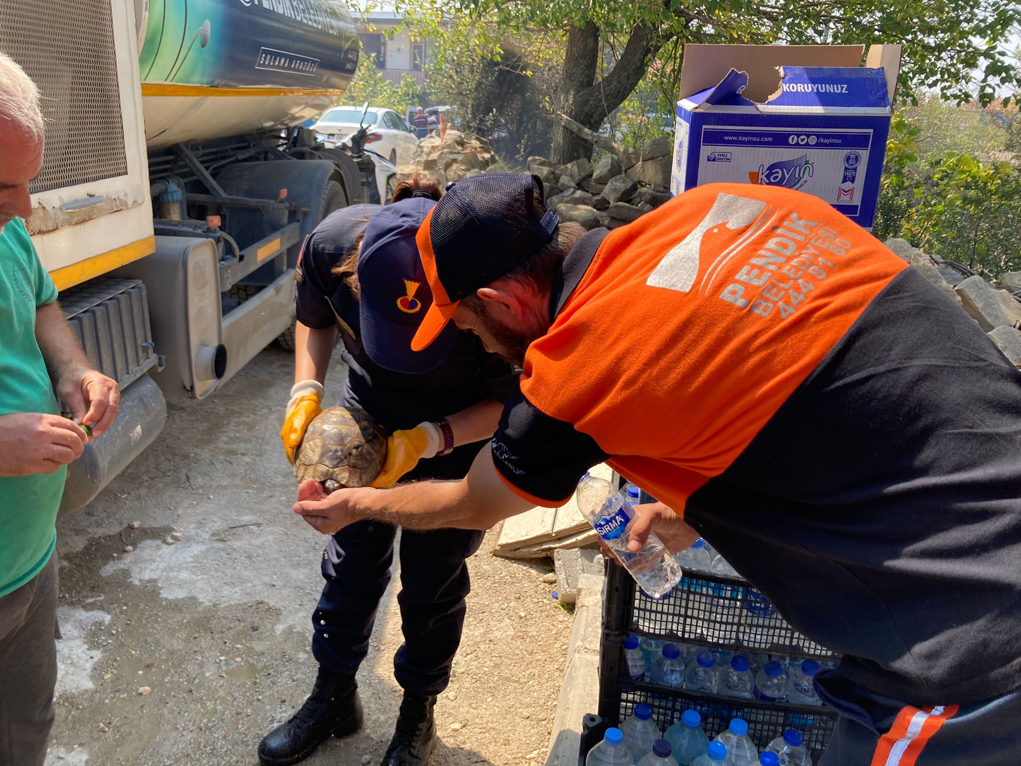 Yaralı kaplumbağaya can suyu