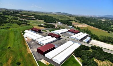 İSTANBUL KURBAN BAYRAMINA HAZIR