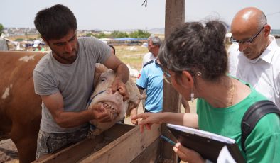 Tuzla Belediyesi Ekipleri, İlçedeki Kurban Pazarlarını Bayrama Hazırlıyor