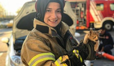 İSTANBUL İTFAİYESİ 5 AYDA 6 BİN HAYVAN KURTARDI