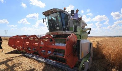 DENEME TOHUMLARININ İLK HASADINI YAPTI