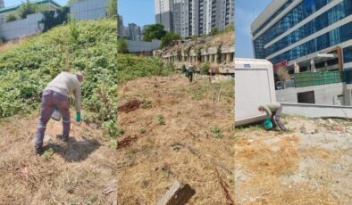 ESENYURT’TA KEMİRGEN SORUNUNA KARŞI İBB’DEN HIZLI MÜDAHALE