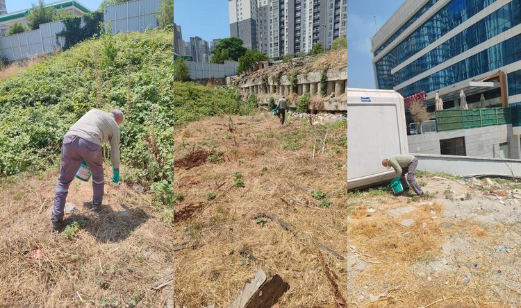 ESENYURT’TA KEMİRGEN SORUNUNA KARŞI İBB’DEN HIZLI MÜDAHALE